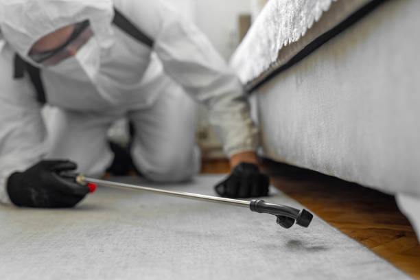 Professional Bed Bug Control technician working in Rochester, NH