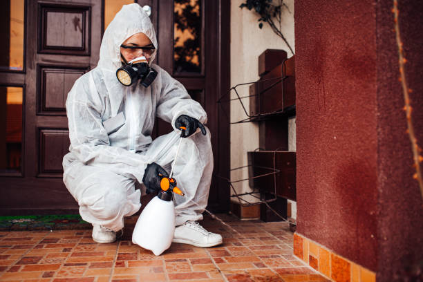 Reliable Bed Bug Control contractor in Rochester, NH by Nex Pest Control