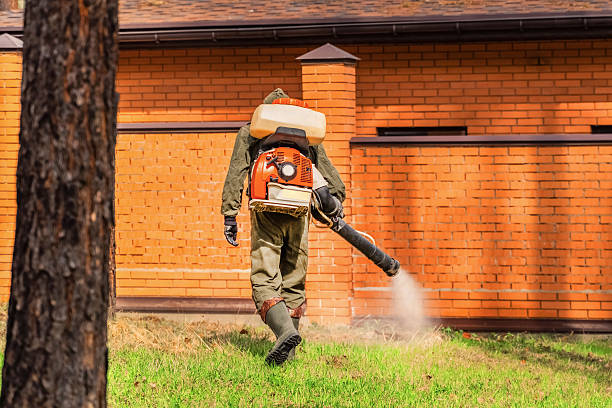 Trusted Rodent Control service in Rochester, NH - Nex Pest Control